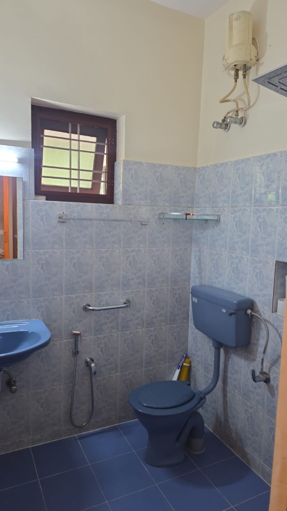 Blue Bathroom Shower & Geyser
